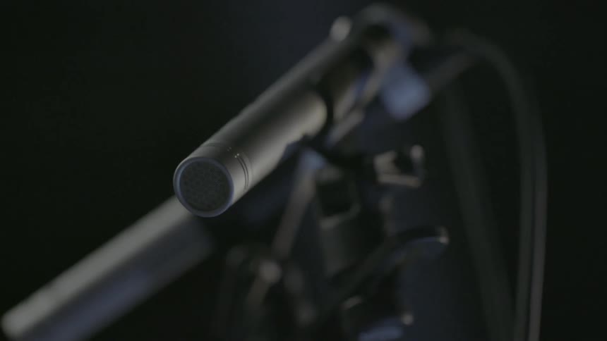 Two microphones on a stand