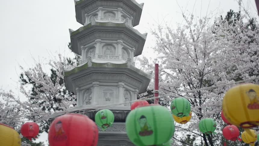 Many colored lanterns hanging around a column with cherry trees in the background