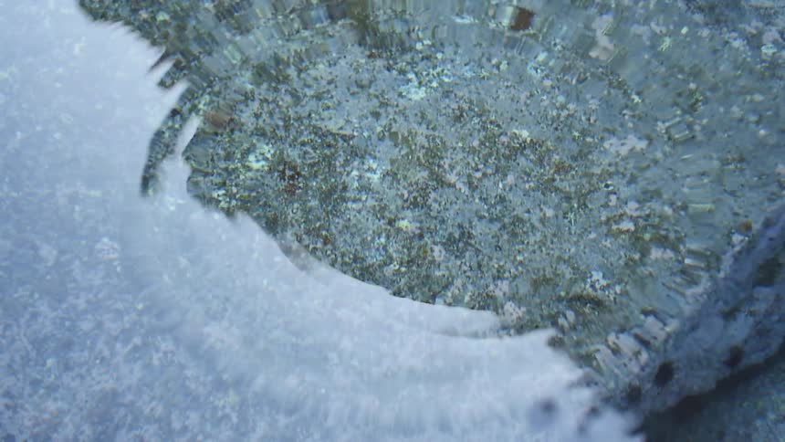 Water drips into a puddle