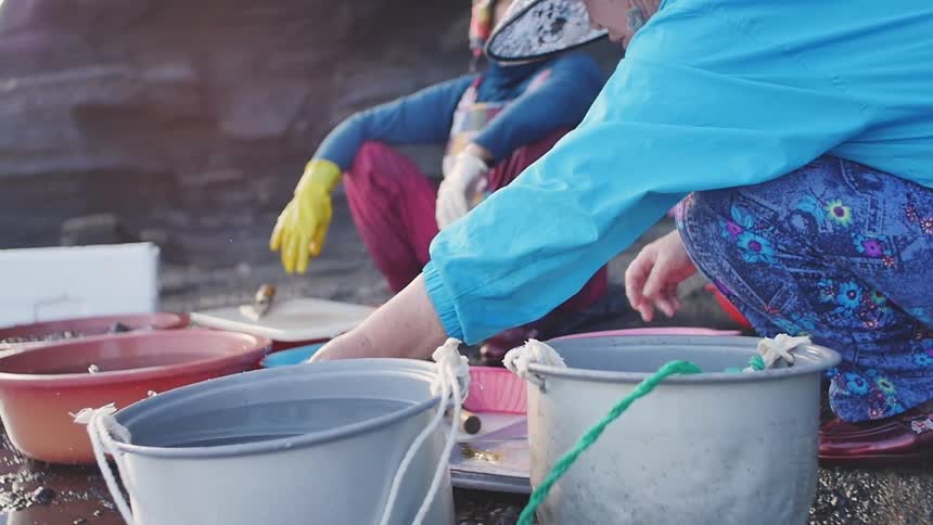 A woman washes dishes in a pan of water
