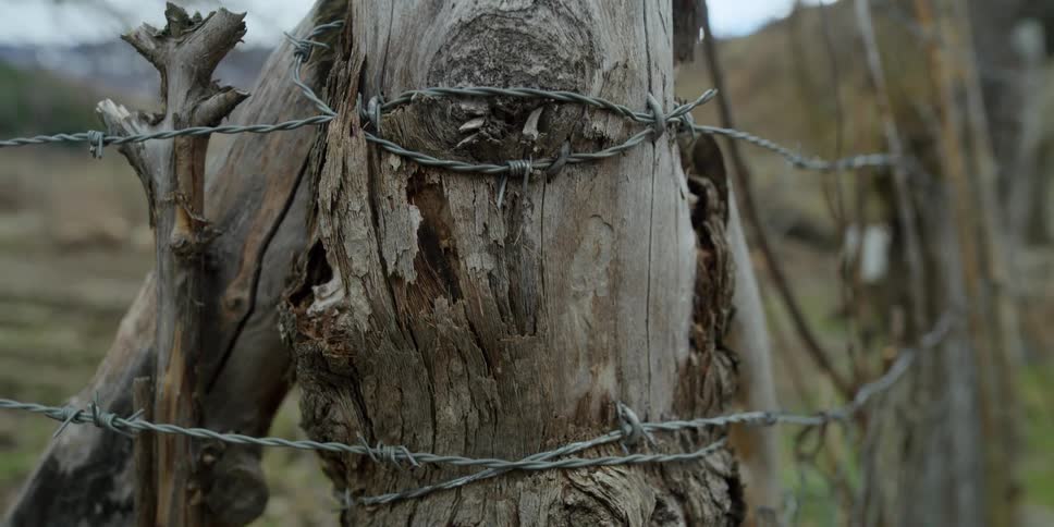 Barbed wire wraps around corner fence post surrounding pasture