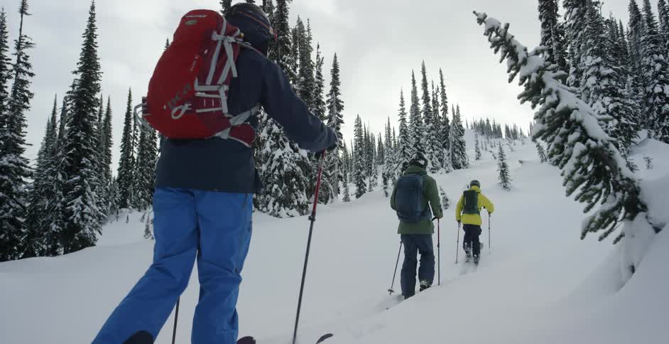 Skiers trekking uphill in between snow covered trees
