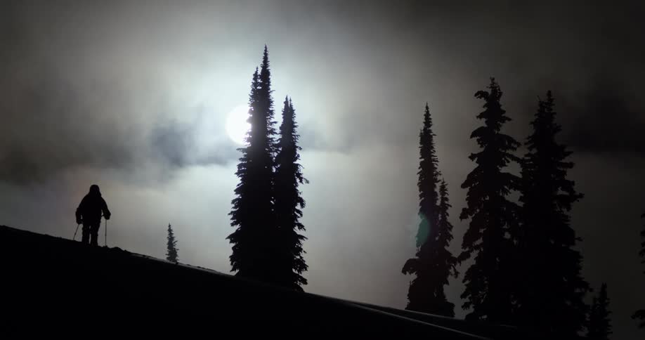 A silhouette of a person ski touring in front of the sun with pine trees