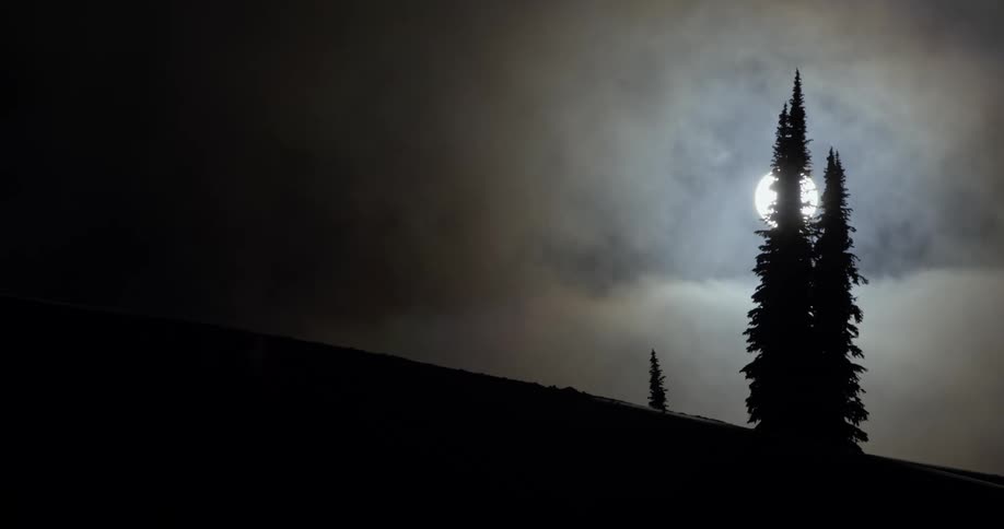The moon shines behind a tree over the eerie landscape