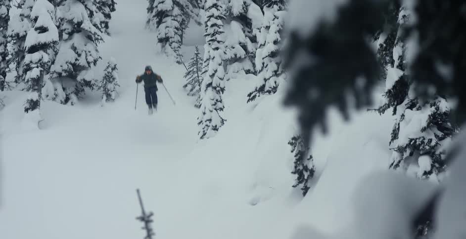 A skier jumps through trees and skis quickly through powder