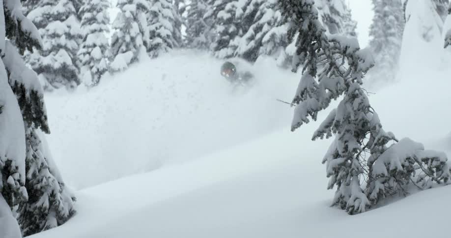A person skiing down a treed ski slope full of powder