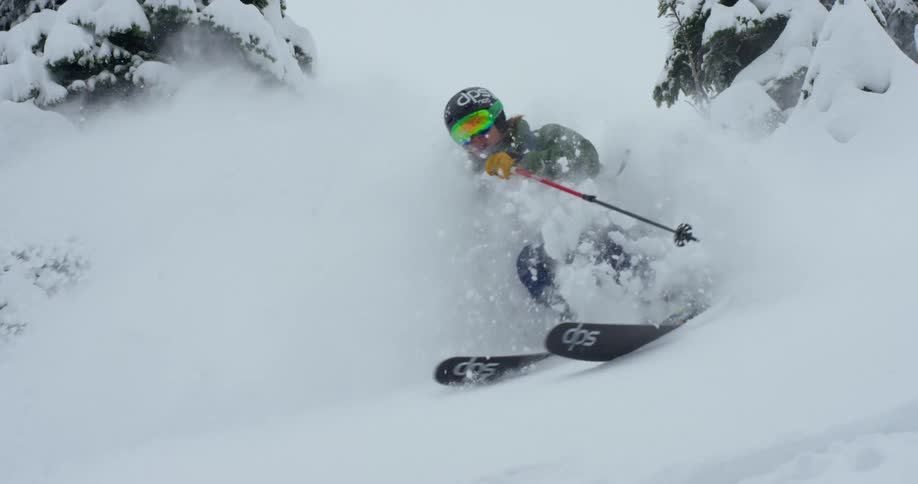 Skier skiing down fresh powder in between snow capped trees
