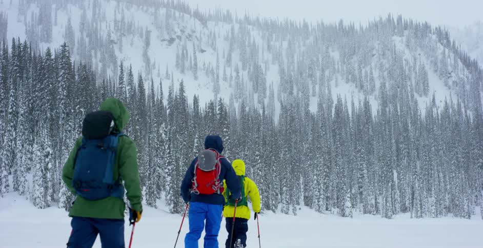 Three cross country skiers move across a snow covered field