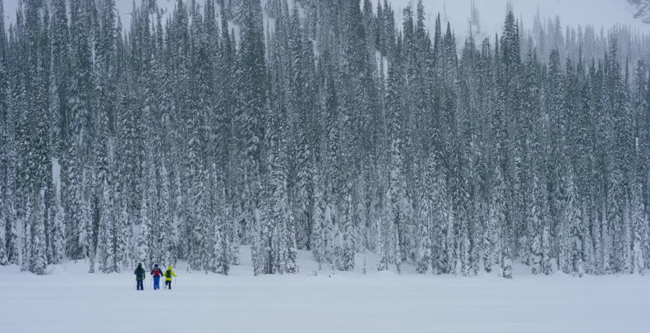 Group walks through snow toward snow covered conifer forest