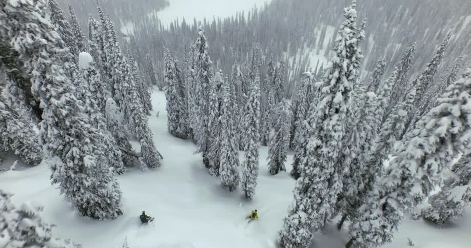 Overhead aerial of three skiers racing down snow covered slope through conifer forest