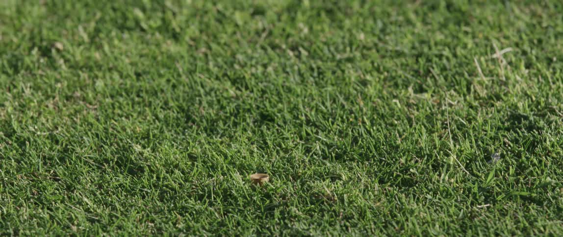 Close up of a golf club hitting a ball
