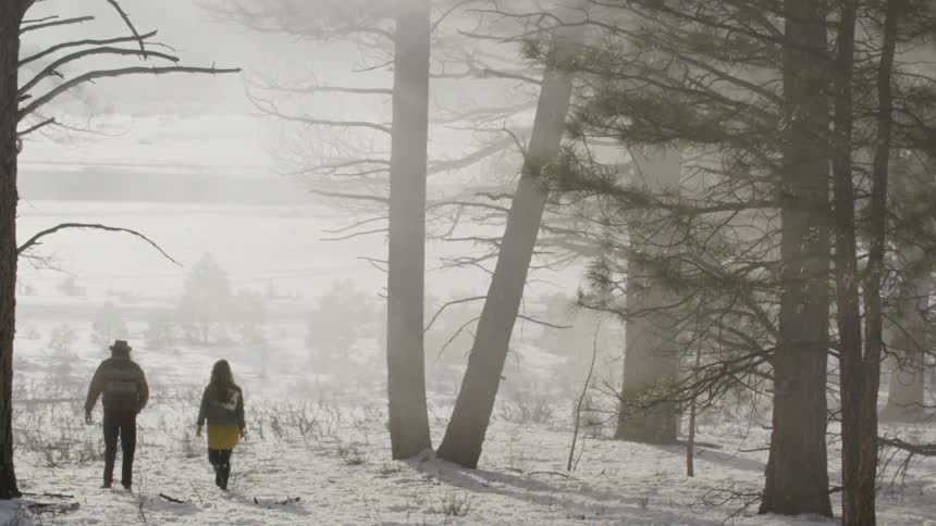 A man and woman walk in a snowy and forested area
