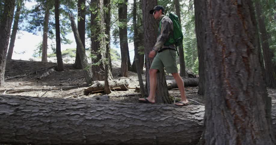Man walking on a fallen tree in the woods