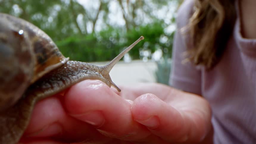 A snail crawls on a white womans fingers