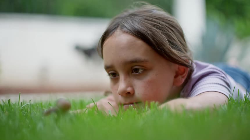 A young girl watches nature unfold