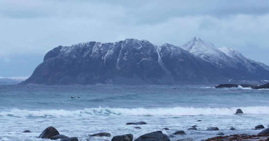 A person floats in the water as waves roll in to the shore