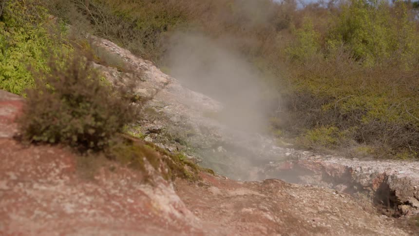 Smoke rises out of a hole in a brush filled area