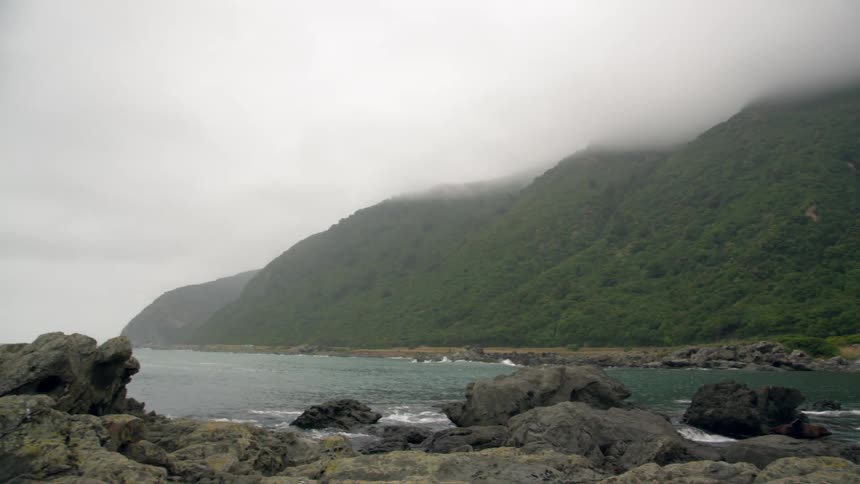 Ocean waves roll up on a rocky coast