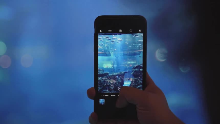 A white person holds a smartphone in their hand