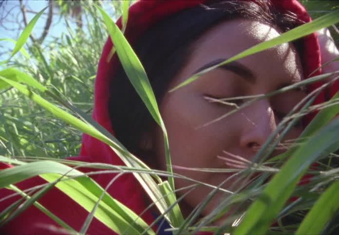 A woman in a red hood lying amongst tall grass on a windy day