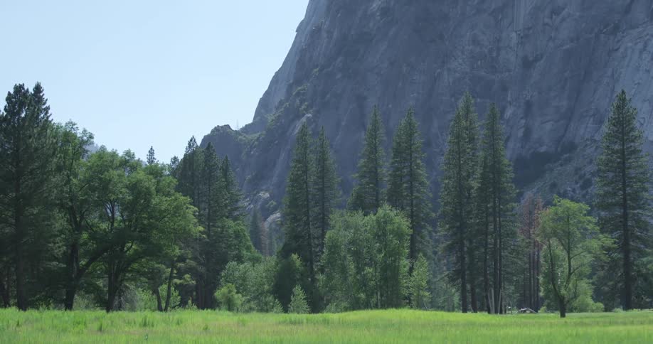Green trees and field at the base of a mountain