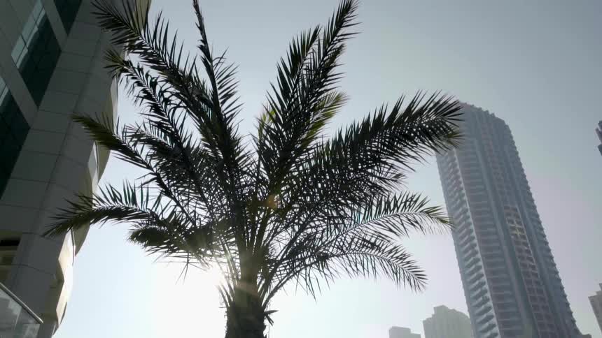 Skyscrapers in a city
