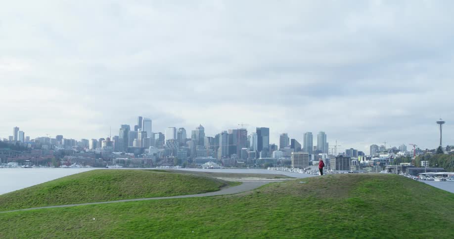 A man stands on a hill in a park near a bay on the coast of a large city