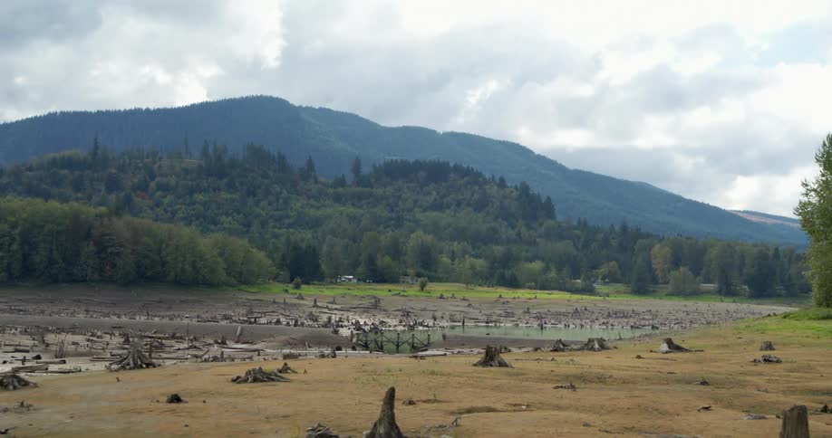 Tree stumps litter grown near muddy lake mountain and forest