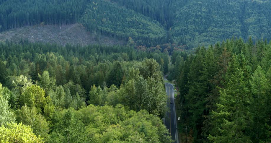 A car drives down a road that cuts through a dense forest in a mountain valley