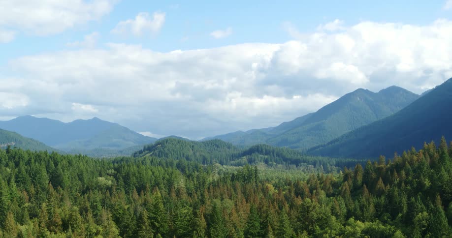 A large forest fills a mountain valley