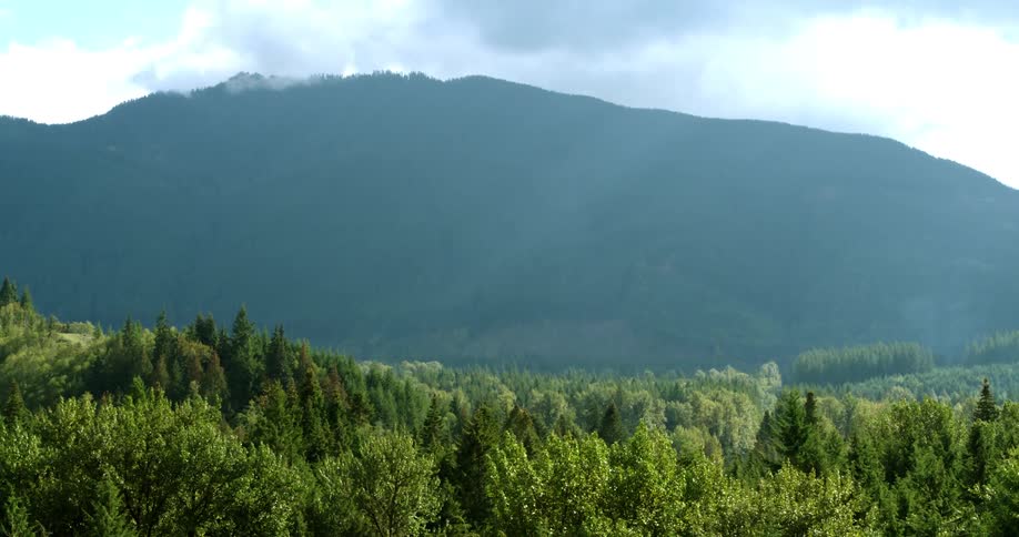Aerial view of a high mountain and forest