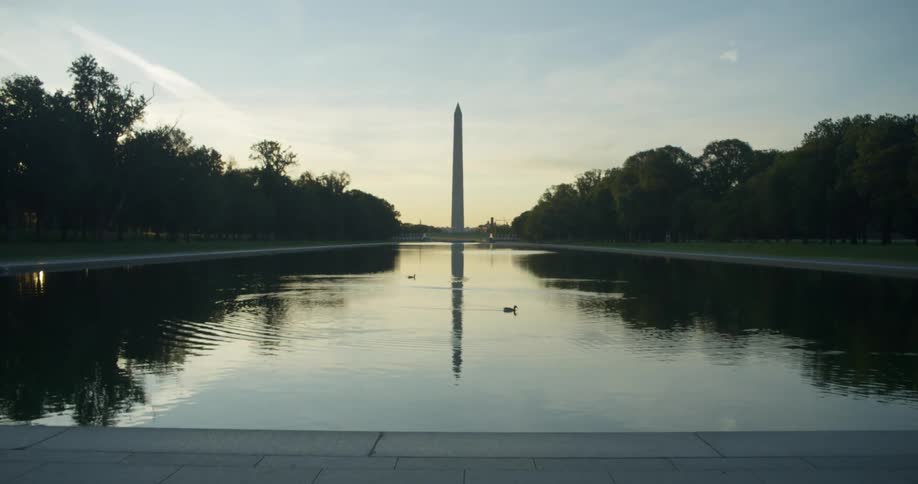 Ducks float in the lake between the forests in front of a tall thin monument
