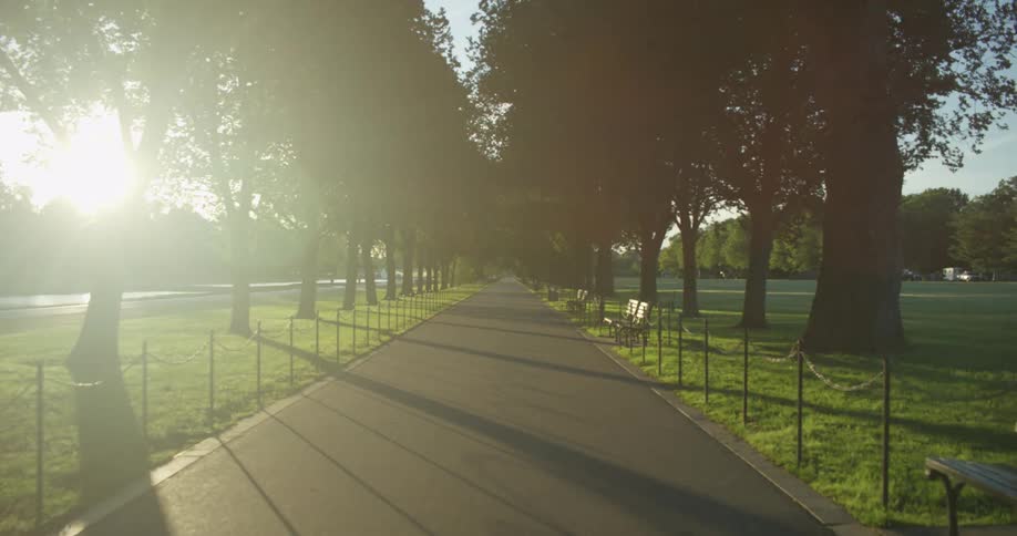 The empty path and benches of a park with trees and grass on a sunny day