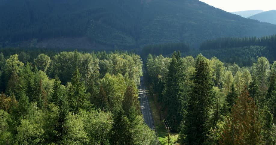 A road runs through a dense forest near a mountain range