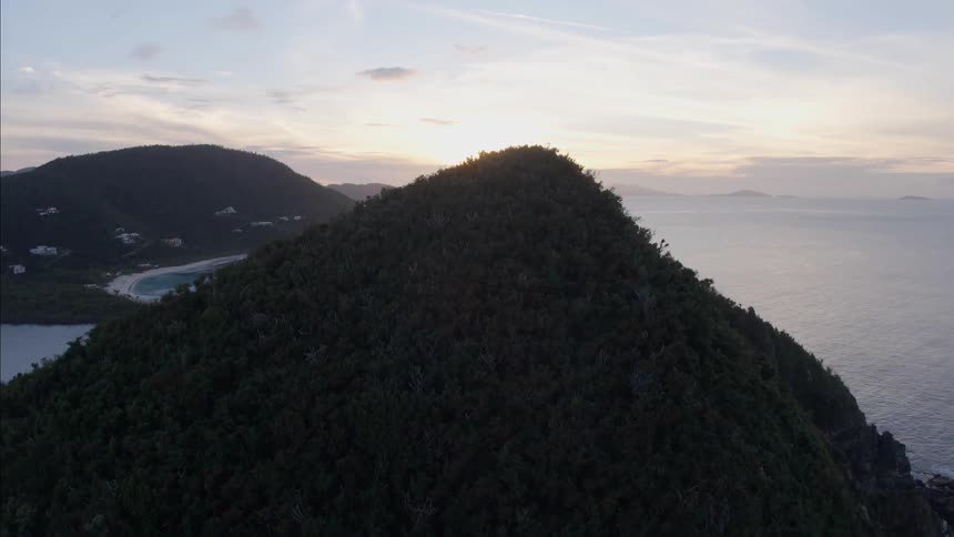 A coastal neighborhood sits on the side of a slope next to the beach and ocean