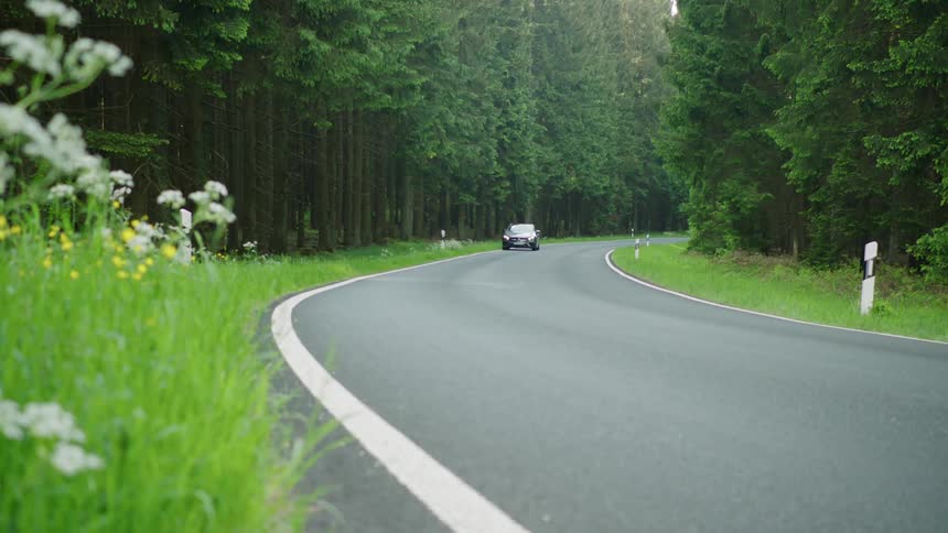 A car drives down a street next to a forest