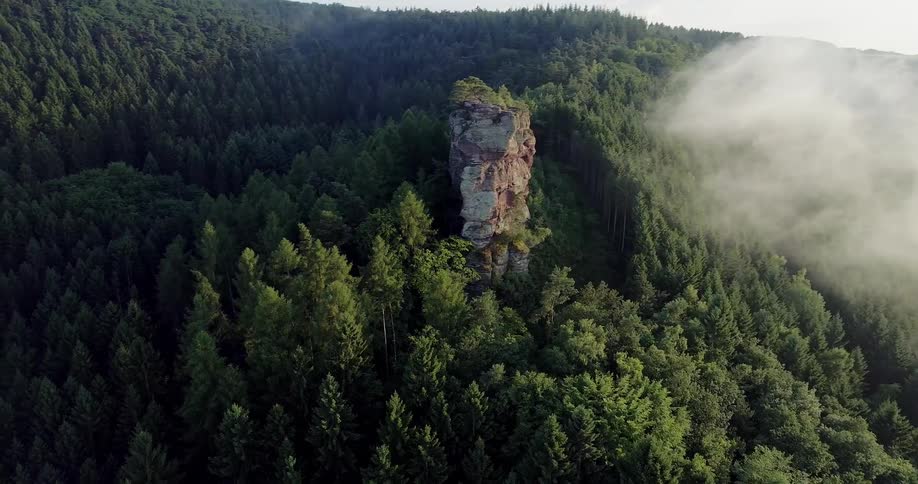 A rock formation juts out from a mountain covered in a forest