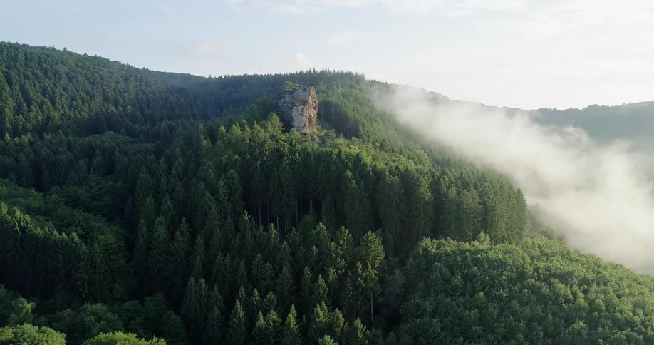 A rock formation rises out of a forest covering a mountain