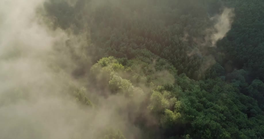 Aerial view of a forest under the clouds at sunset