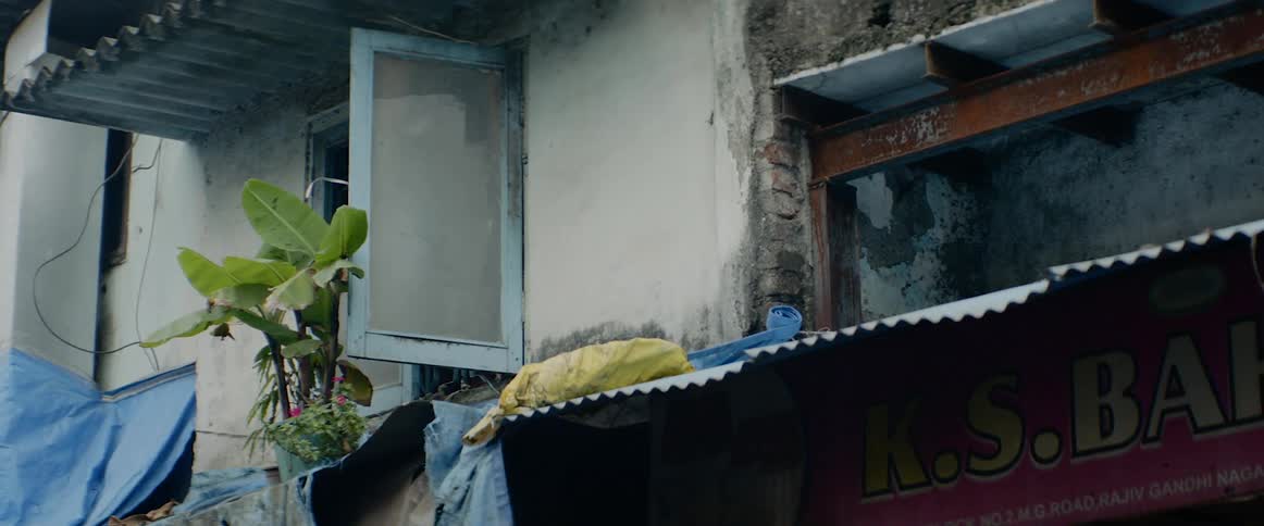 A house with a window open and a plant on the ledge