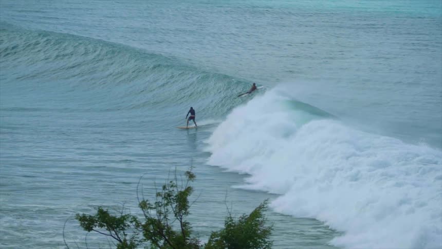 Surfer rides on a wave in the sea