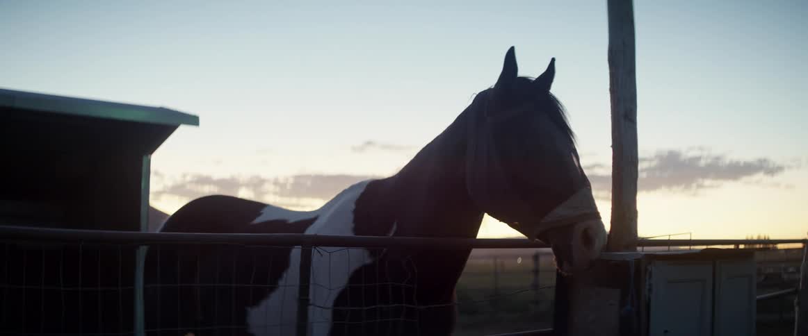 A horse standing with its head over a fence with the sky in the background