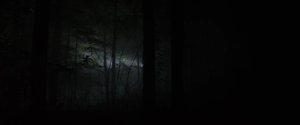 A bright white light searches through a dark forest
