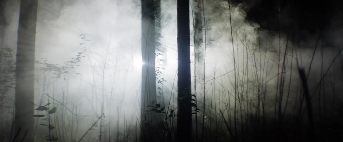 A bright white light cuts through a forest at night