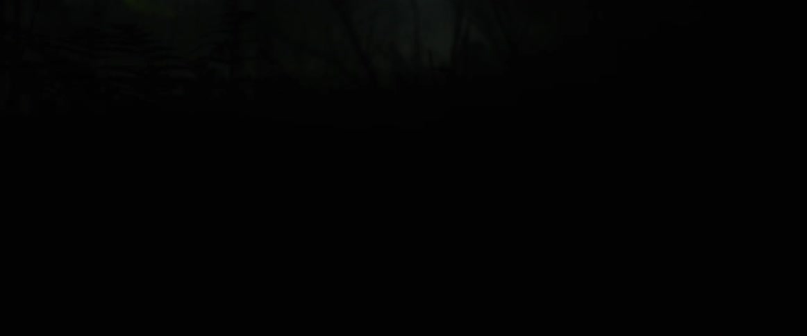Lights flash behind fog in a wooded area