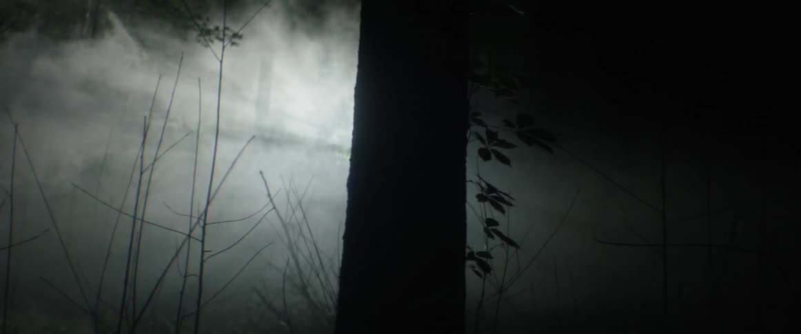 Lights flash in a smoke filled forest