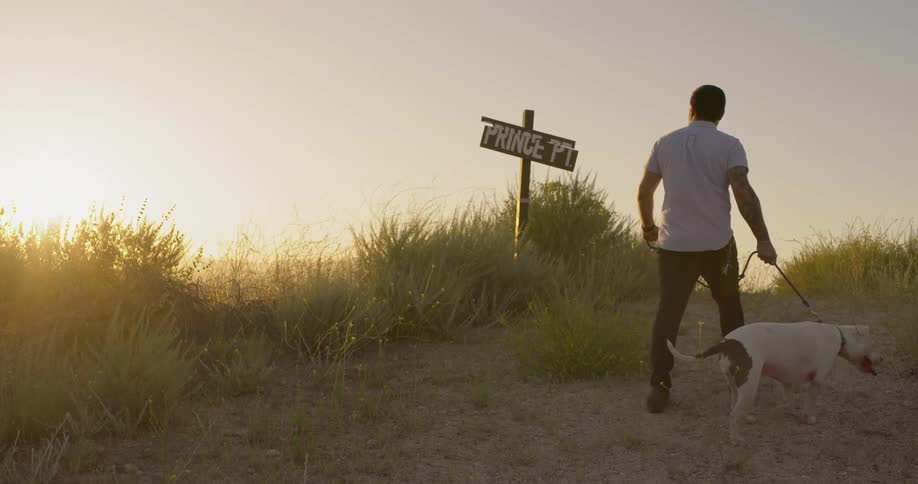 Man with beard and sunglasses walks dog uphill at sunset