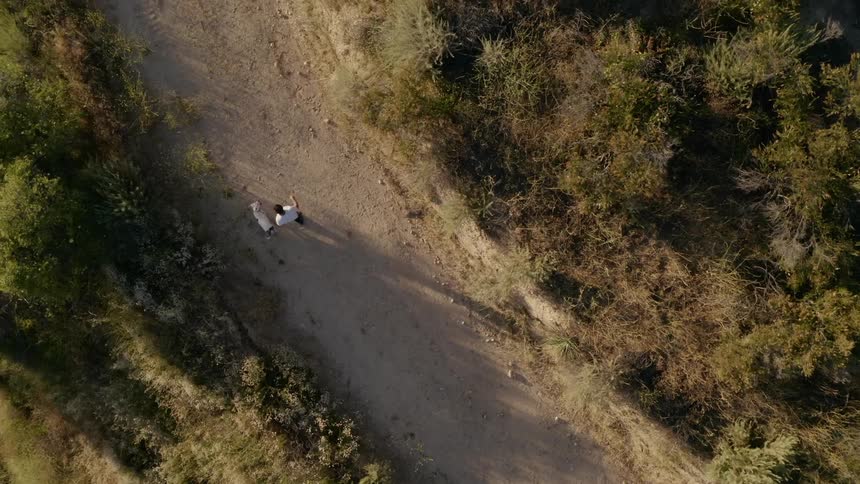 Aerial view of a man with a white shirt walks a dogdown the dirt road