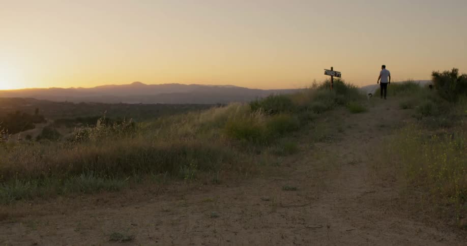 A man walks his dog along a dirt path in nature