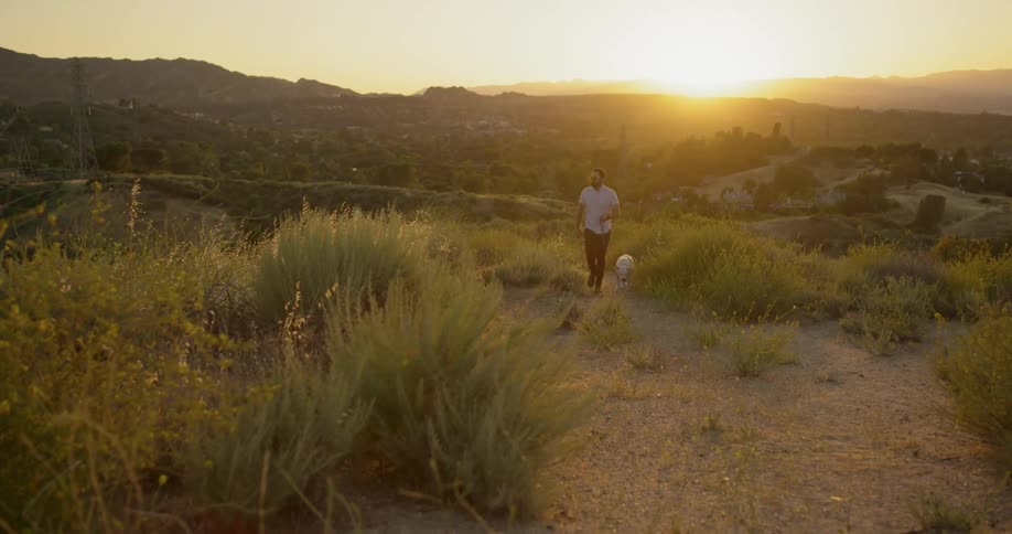 Man with beard and sunglasses walks up the hill at sunset